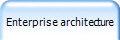 Enterprise architecture